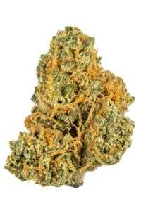 Home page Cream Caramel