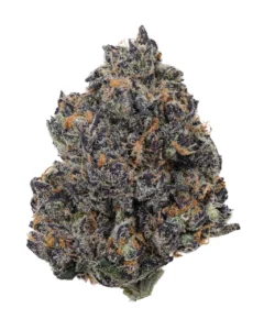 Tropicana Cherry Tropicana Cherry Strain