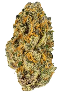 Home page Black Cherry Punch
