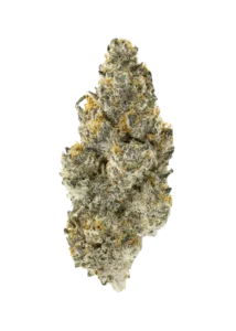 Home page Sherbzooka